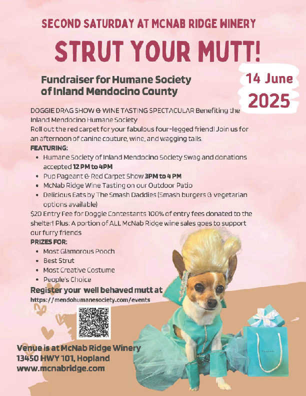 Strut Your Mutt, McNab Ridge Winery June 14